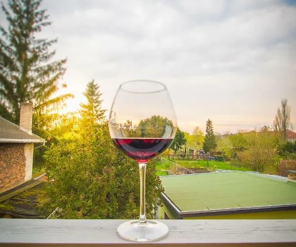 Apartment Stadtbleibe *