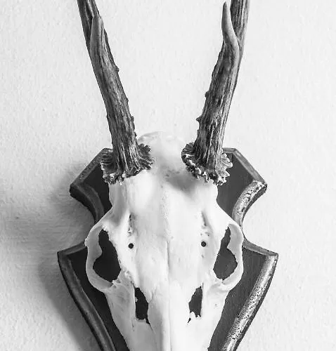 Stadtbleibe Naumburg (Saale)